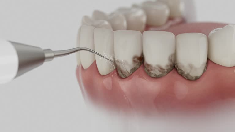 Reliable Dental contractor in Richton Park, IL by Dentist Open Now